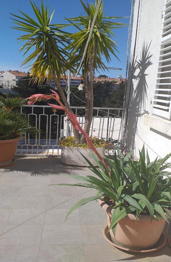 Plavi Zal Apartment Dubrovnik Exterior photo